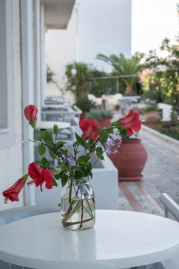 Stefanie Studios Aγία Μαρίνα Εξωτερικό φωτογραφία